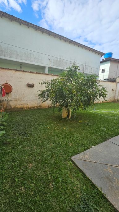 Jardim
