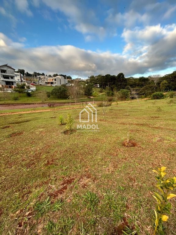 Terreno/Área à venda em Colônia Dona Luiza, Ponta Grossa — Portal Chave Fácil