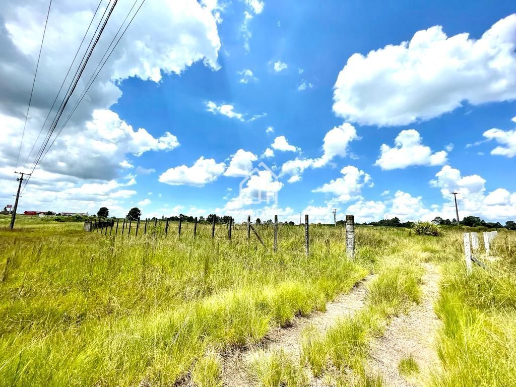 Terreno/Área à venda em Colônia, Carambeí — Portal Chave Fácil