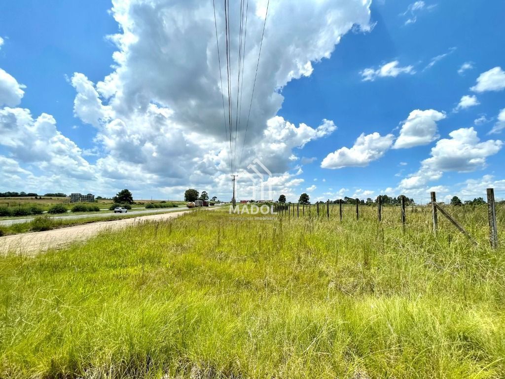 Terreno/Área à venda em Colônia, Carambeí — Portal Chave Fácil