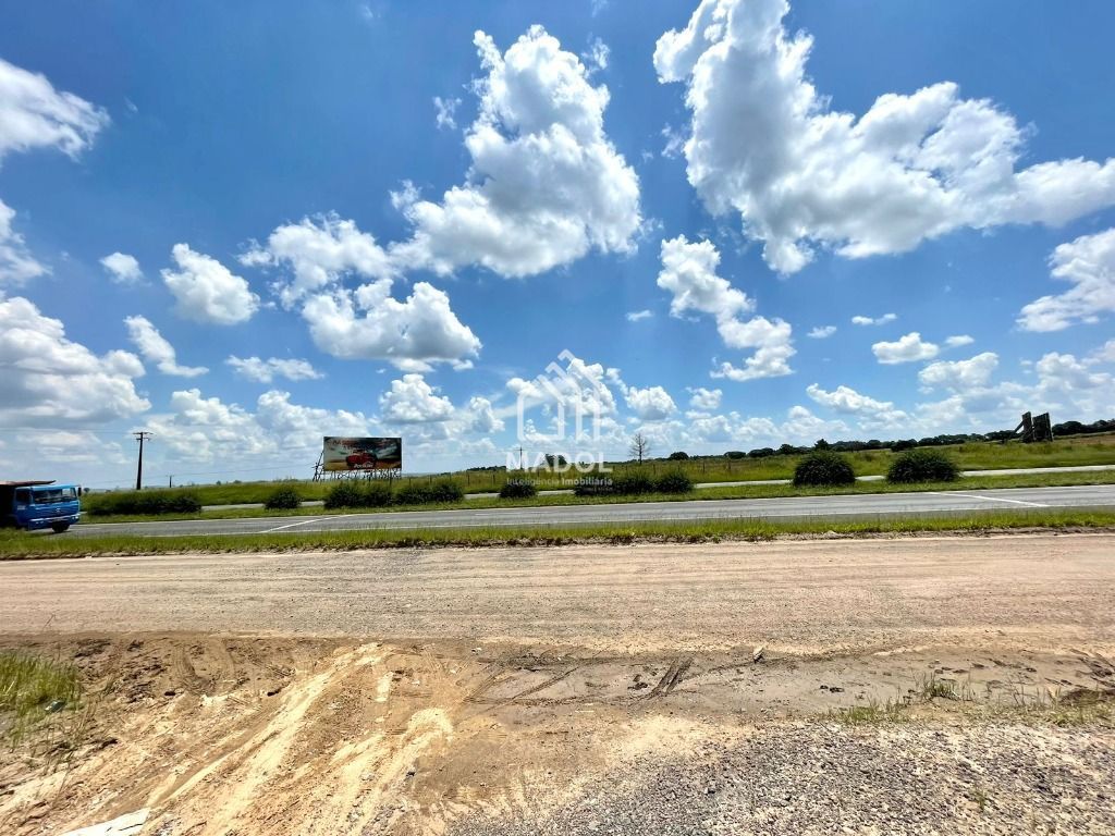 Terreno/Área à venda em Colônia, Carambeí — Portal Chave Fácil
