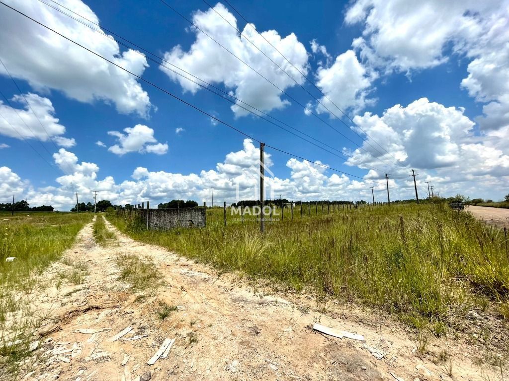 Terreno/Área à venda em Colônia, Carambeí — Portal Chave Fácil