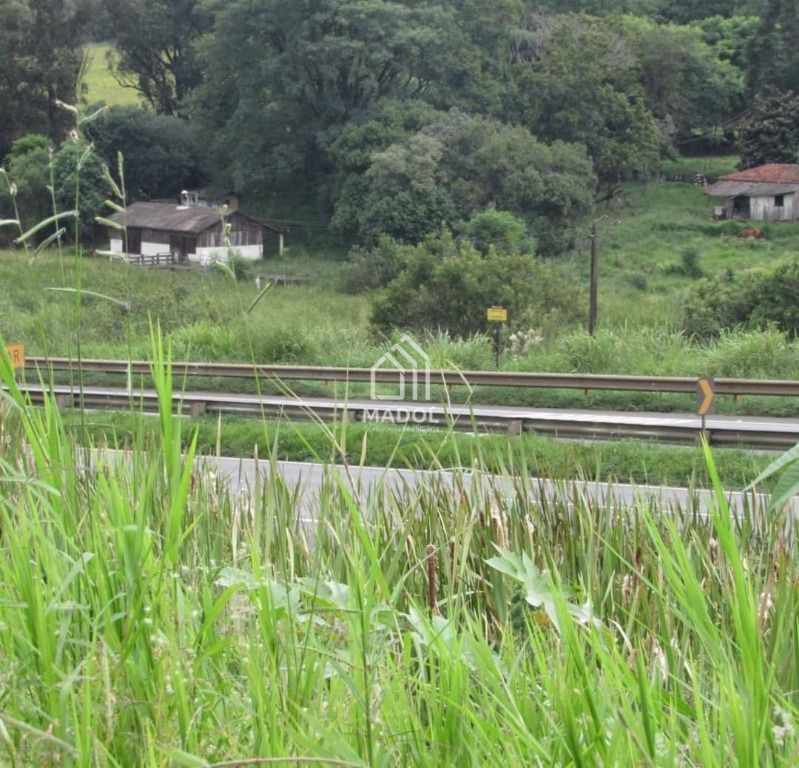 Terreno/Área à venda em Ronda, Ponta Grossa — Portal Chave Fácil