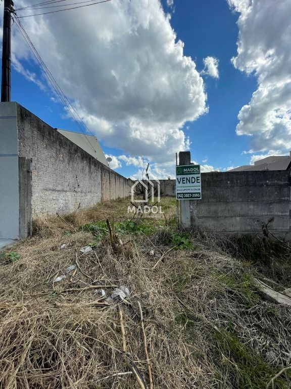 Terreno/Área à venda em Orfãs, Ponta Grossa — Portal Chave Fácil