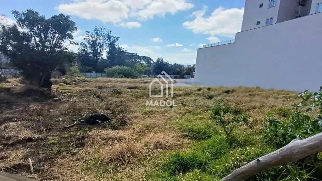 Terreno/Área à venda em Orfãs, Ponta Grossa — Portal Chave Fácil