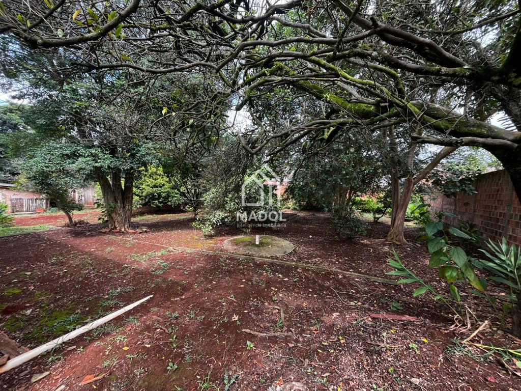 Terreno/Área à venda em Colônia Dona Luiza, Ponta Grossa — Portal Chave Fácil