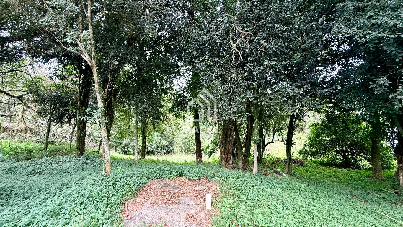 Fazenda à venda em Periquitos, Ponta Grossa — Portal Chave Fácil