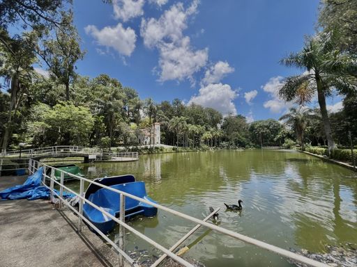 Lago