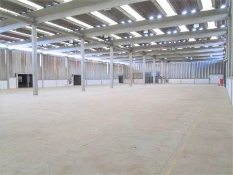 Foto 09