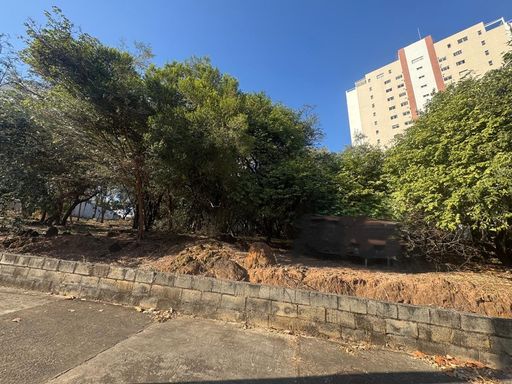 Foto 02