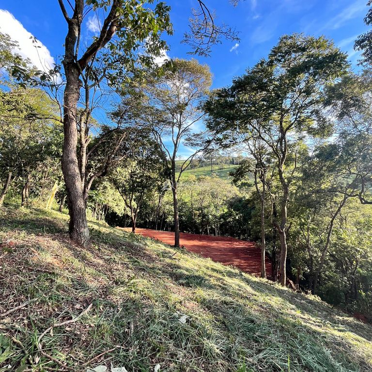 Terreno Rural à venda em Cambuí/MG — foto 5