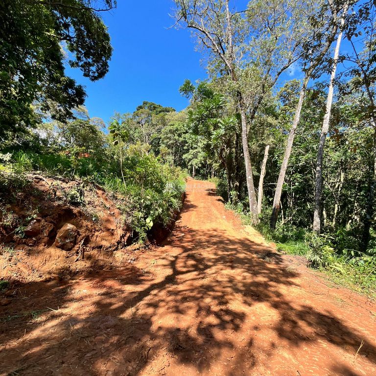 Terreno Rural à venda em Cambuí/MG — foto 6