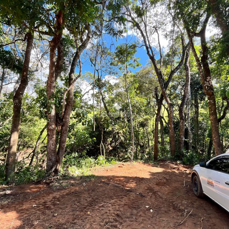 Terreno Rural à venda em Cambuí/MG — foto 10