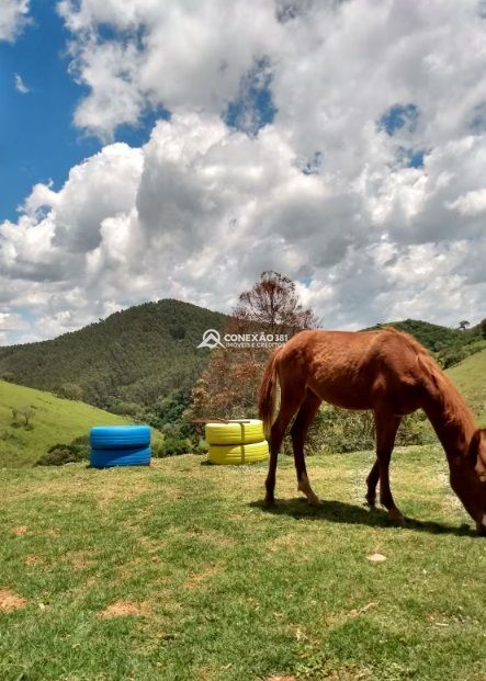 Chalé a venda em Camanducaia, MG — foto 45