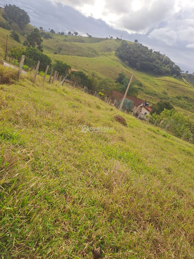 Terreno Rural á venda em Cambuí/MG — foto 14