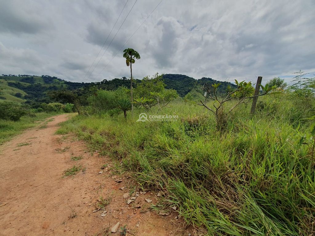 Sítio à venda em Consolação, MG — foto 4