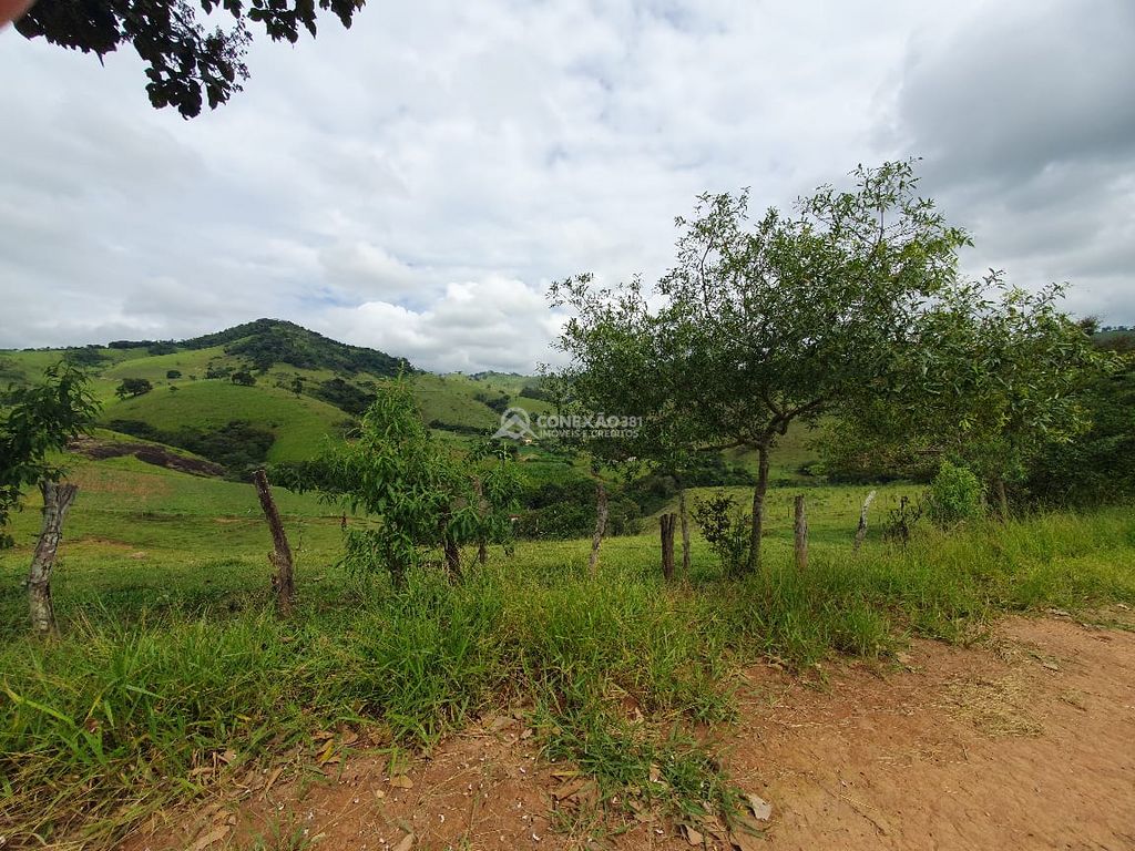 Sítio à venda em Consolação, MG — foto 19