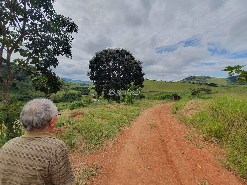 Sítio à venda em Consolação, MG — foto 29