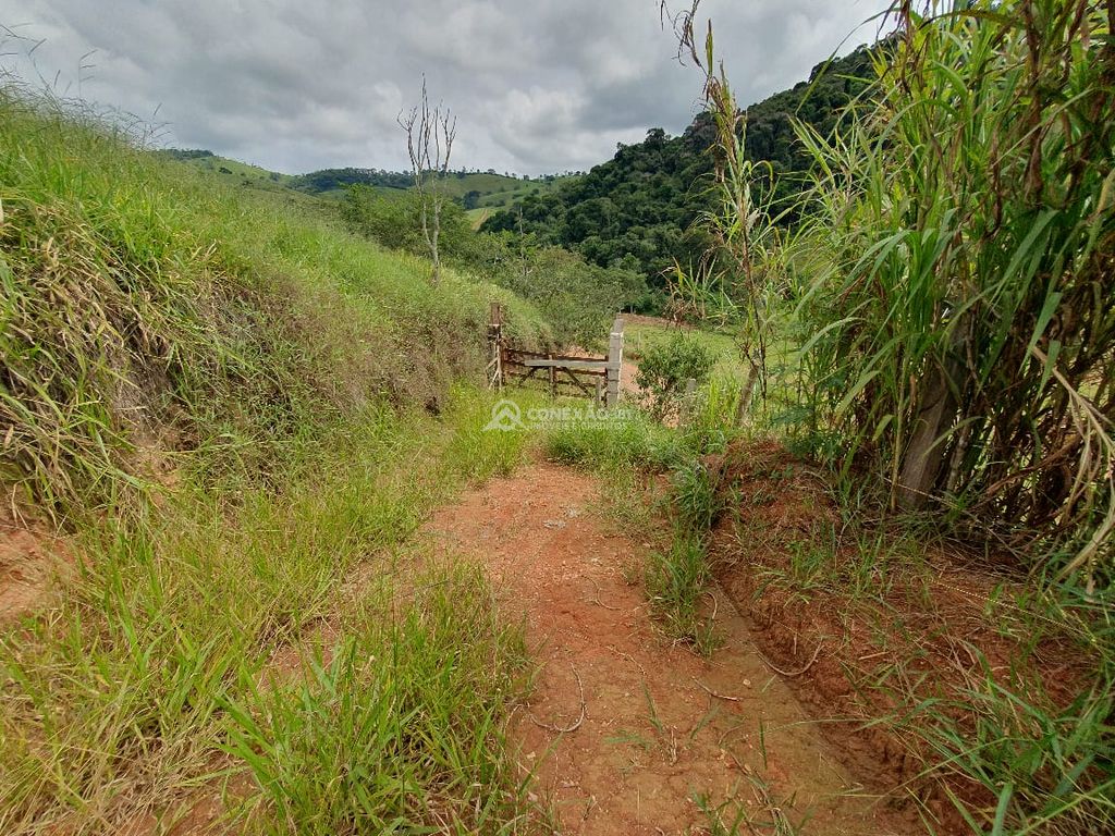 Sítio à venda em Consolação, MG — foto 34