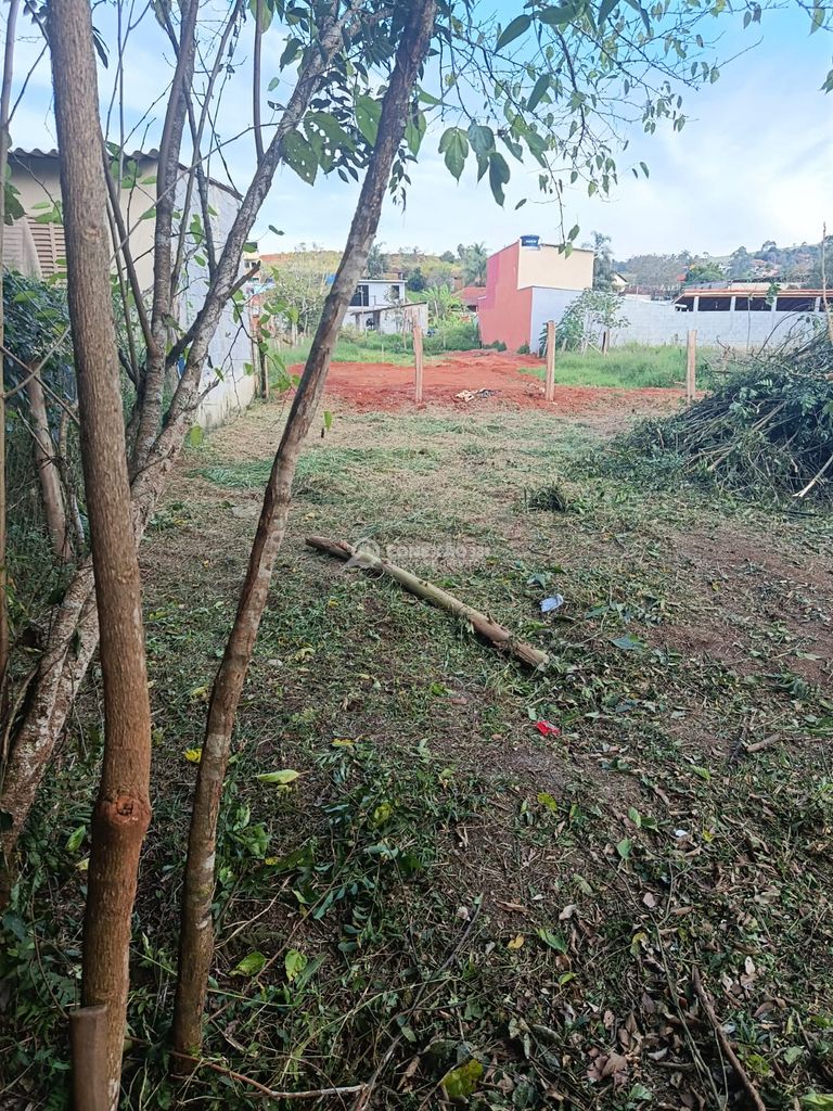 Terreno á venda em Cambuí, Mg. — foto 5