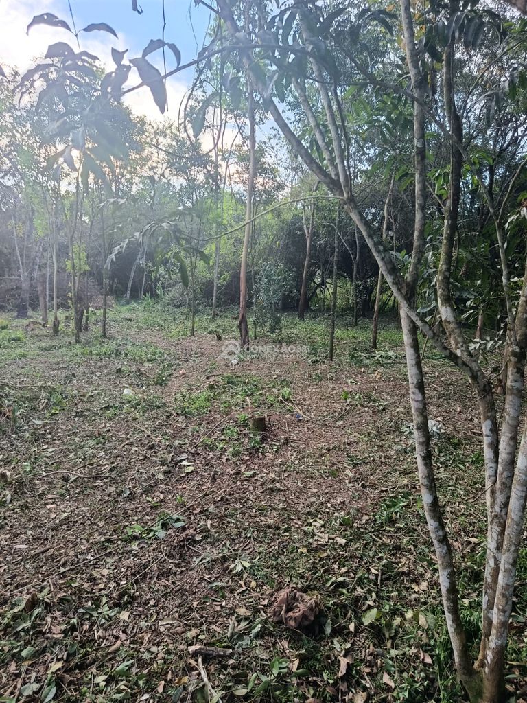 Terreno á venda em Cambuí, Mg. — foto 6