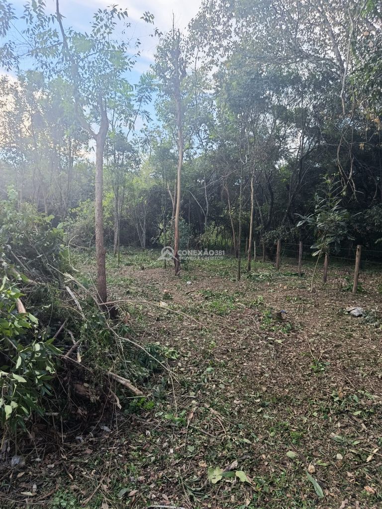 Terreno á venda em Cambuí, Mg. — foto 7