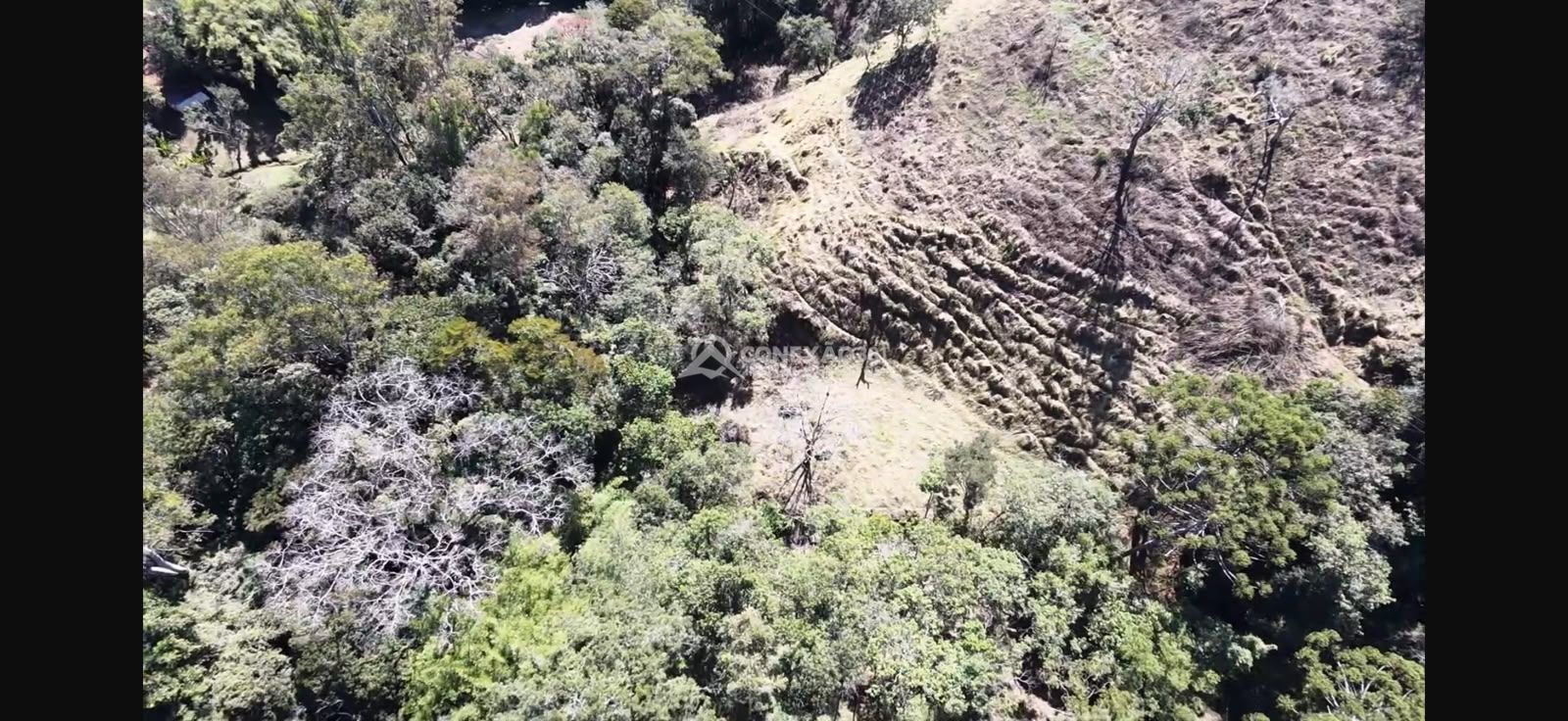 Terreno Rural à venda no Córrego do Bom Jesus, MG — foto 10