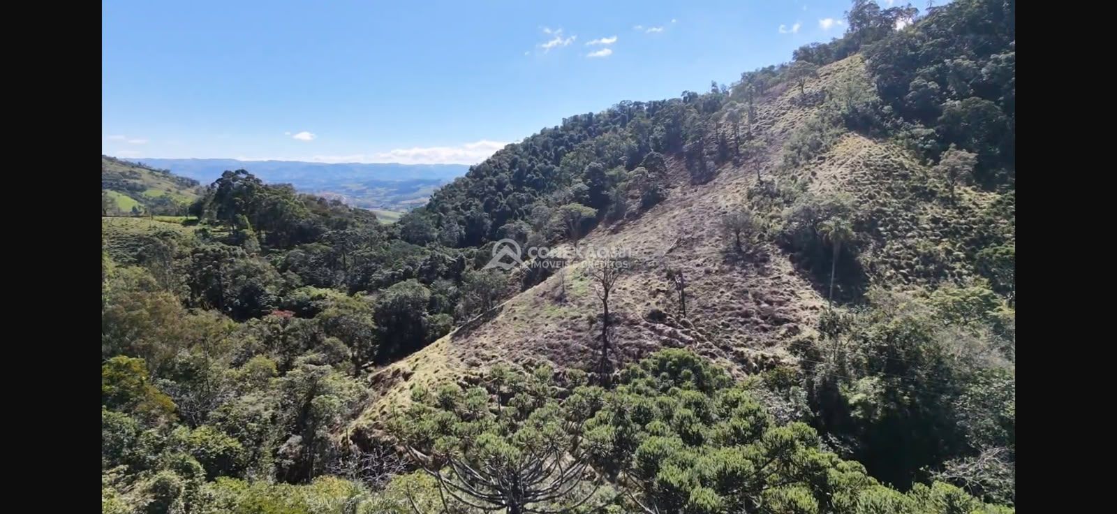 Terreno Rural à venda no Córrego do Bom Jesus, MG — foto 13