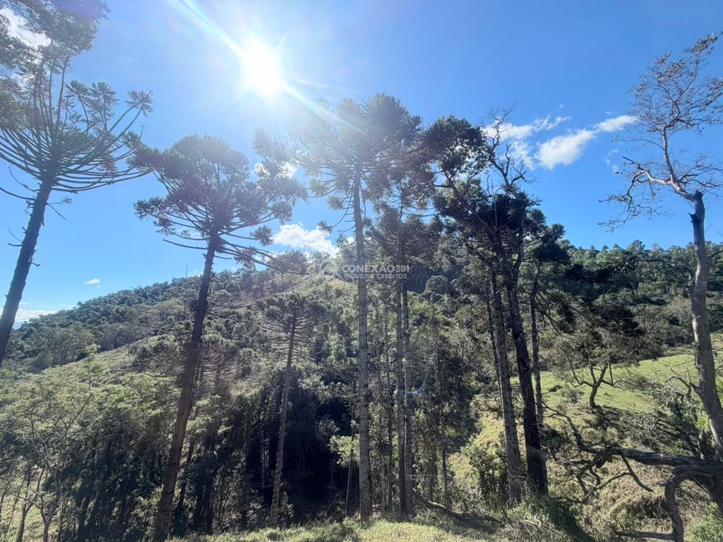 Terreno Rural à venda no Córrego do Bom Jesus, MG — foto 15