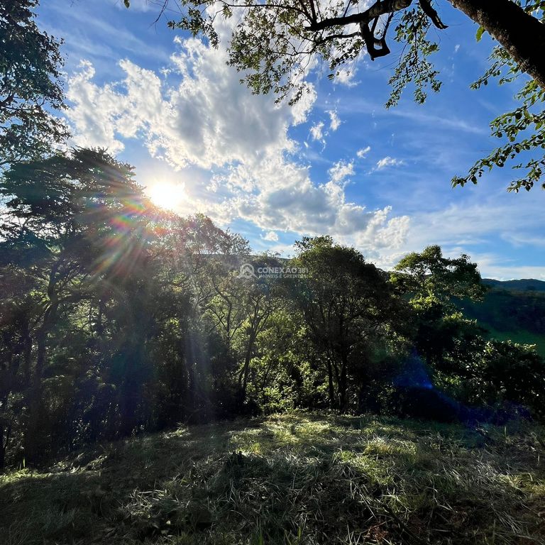 Terreno Rural à venda em Cambuí/MG — foto 9