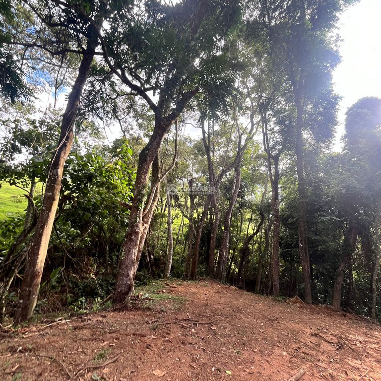 Terreno Rural à venda em Cambuí/MG — foto 12
