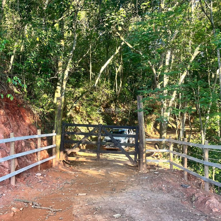 Terreno Rural à venda em Cambuí/MG — foto 13
