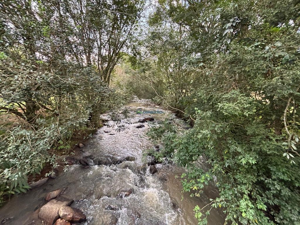 Terreno Rural à venda em Cambuí, MG — foto 4