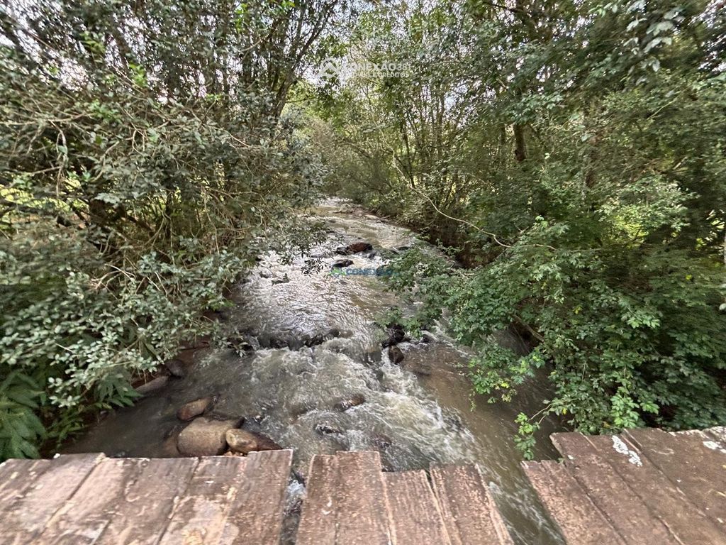 Terreno Rural à venda em Cambuí, MG — foto 5