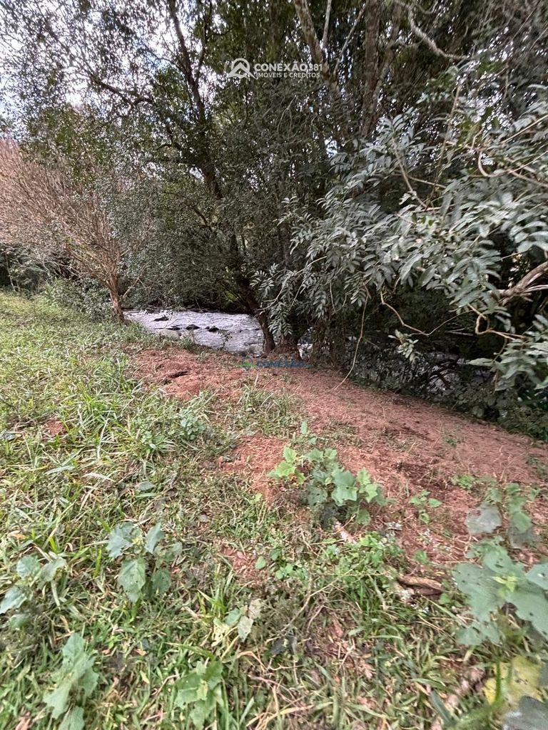 Terreno Rural à venda em Cambuí, MG — foto 6