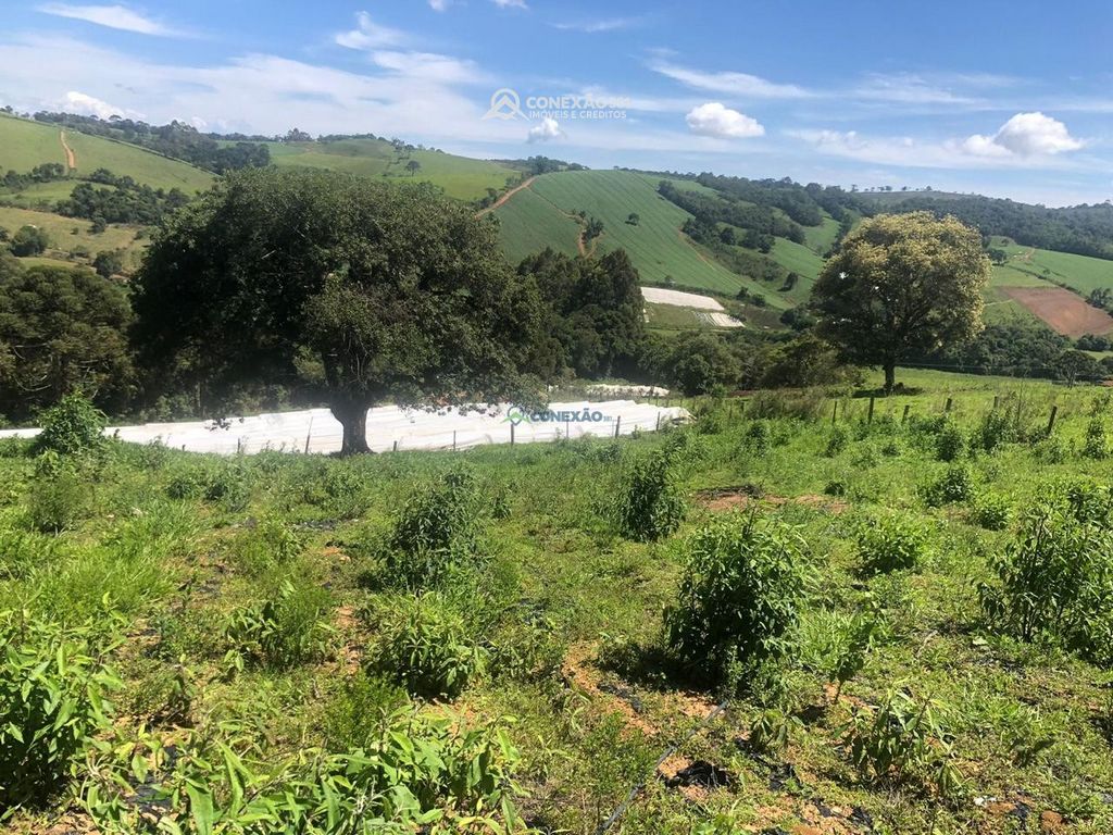 Terreno Rural à venda em Senador Amaral, MG 31820 — foto 5