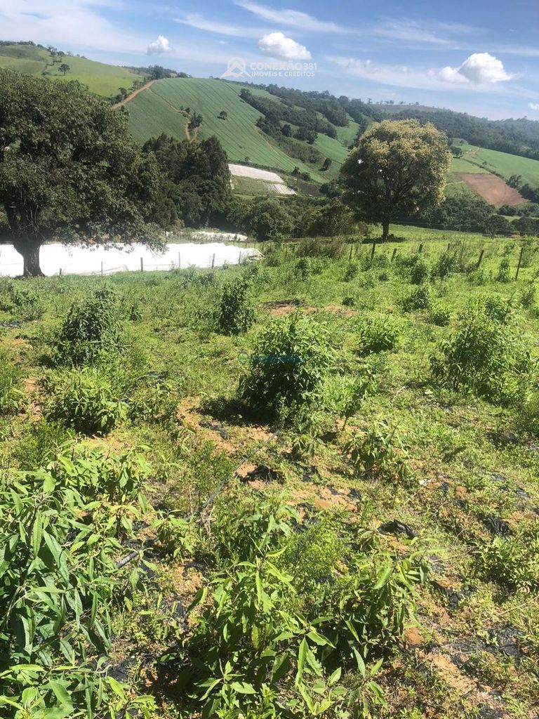 Terreno Rural à venda em Senador Amaral, MG 31820 — foto 6
