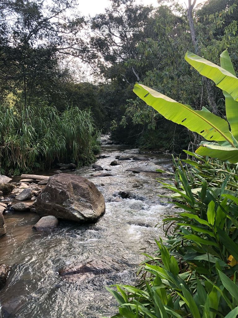 Terreno Rural à Venda em Cambuí, MG -30650 — foto 10