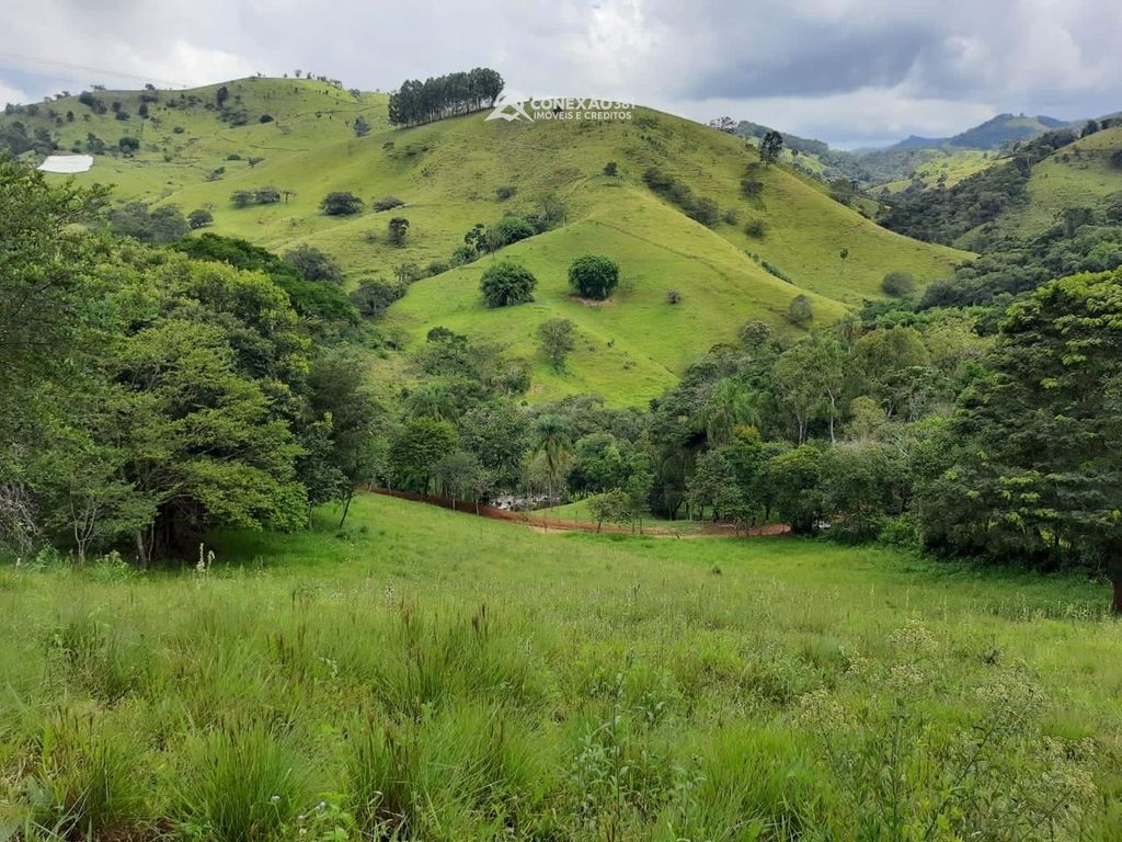 Terreno Rural à Venda em Cambuí, MG -30650 — foto 14