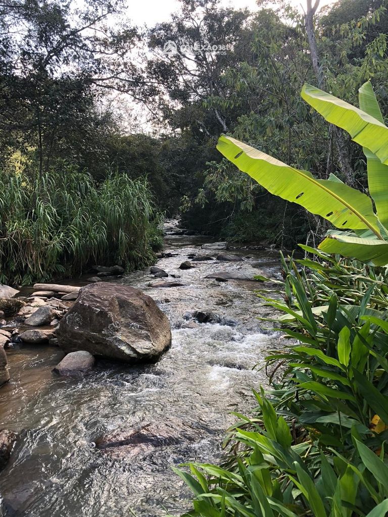 Terreno Rural à Venda em Cambuí, MG -30650 — foto 20