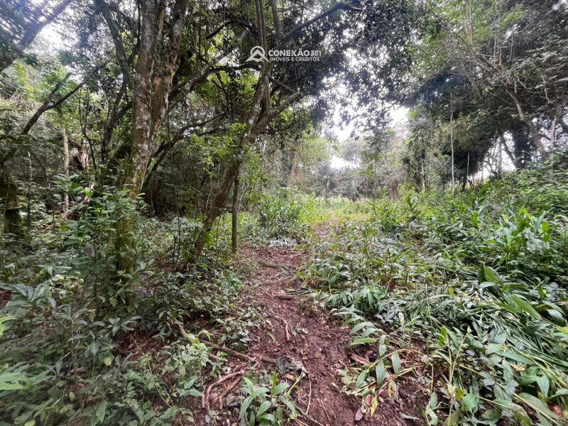 Terreno Rural à Venda em Cambuí, MG — foto 7