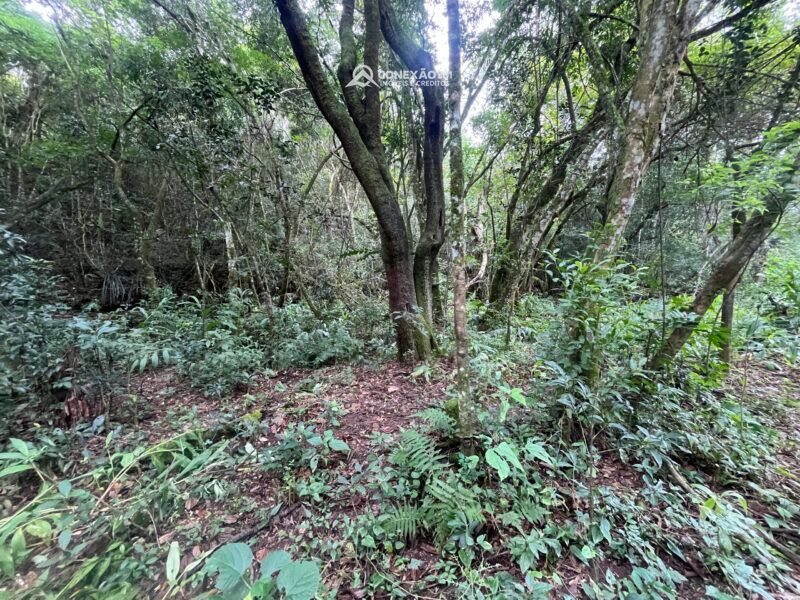 Terreno Rural à Venda em Cambuí, MG — foto 6