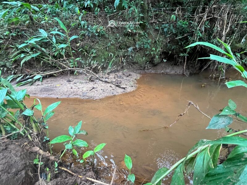 Terreno Rural à Venda em Cambuí, MG — foto 10