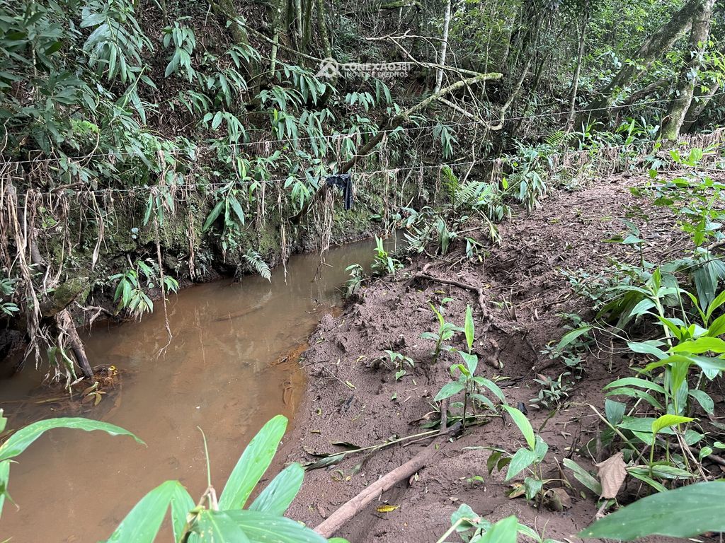 Terreno Rural à Venda em Cambuí, MG — foto 9