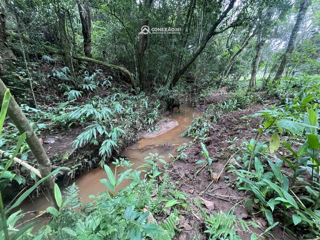 Terreno Rural à Venda em Cambuí, MG — foto 8