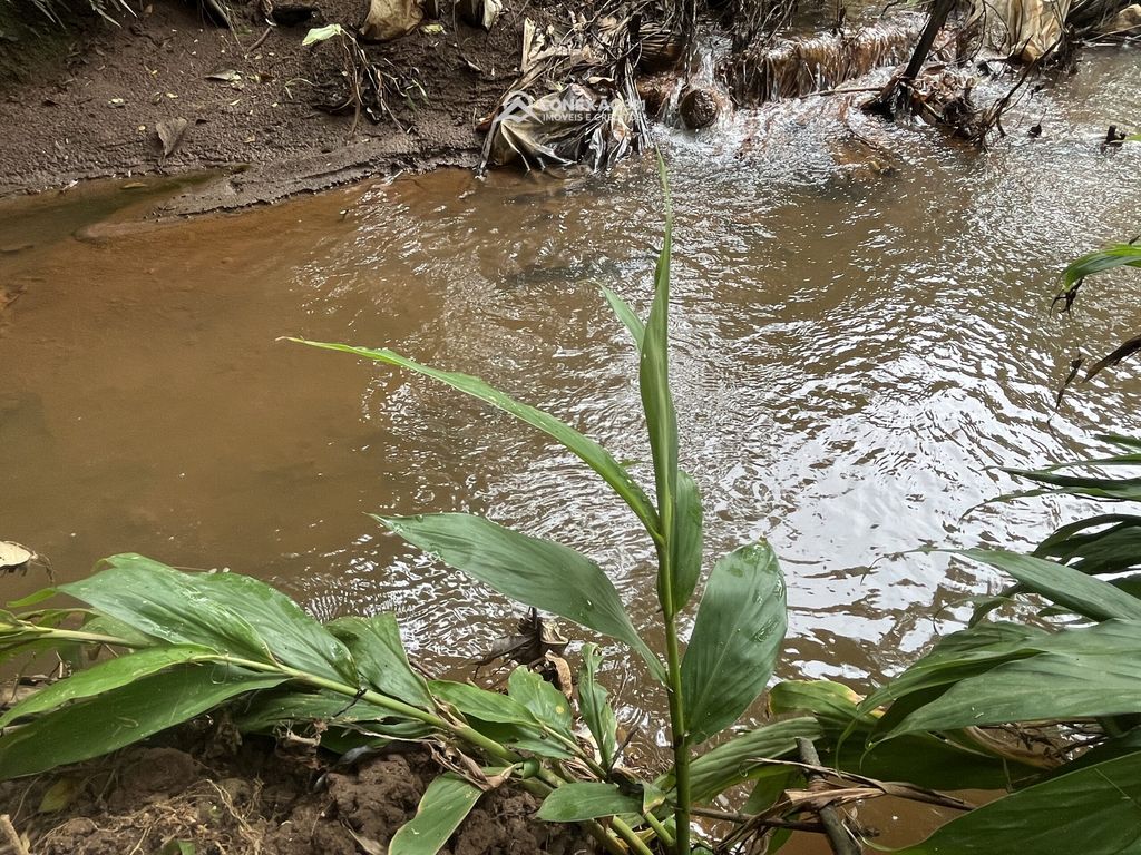 Terreno Rural à Venda em Cambuí, MG — foto 12