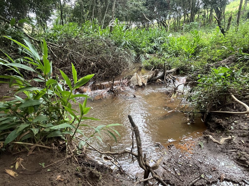 Terreno Rural à Venda em Cambuí, MG — foto 11