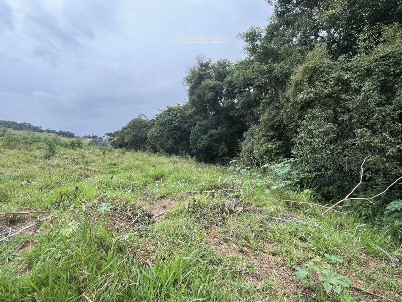 Terreno Rural à Venda em Cambuí, MG — foto 14
