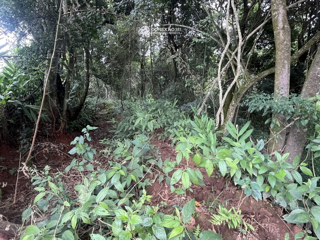 Terreno Rural à Venda em Cambuí, MG — foto 13