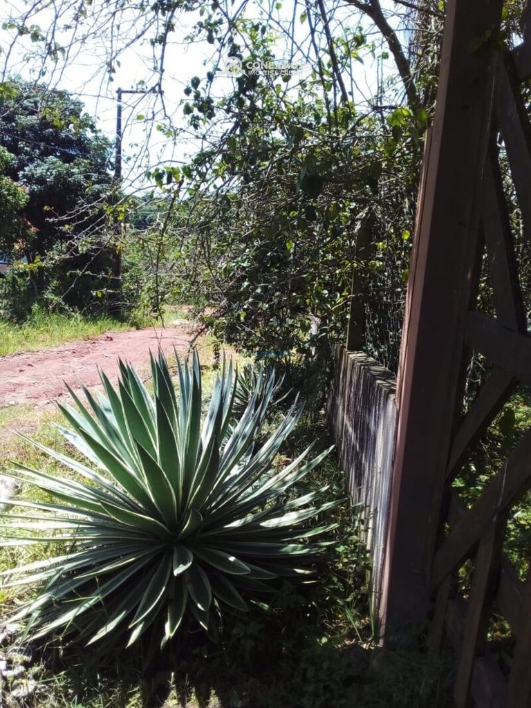 Chácara à Venda em Munhoz, MG — foto 5
